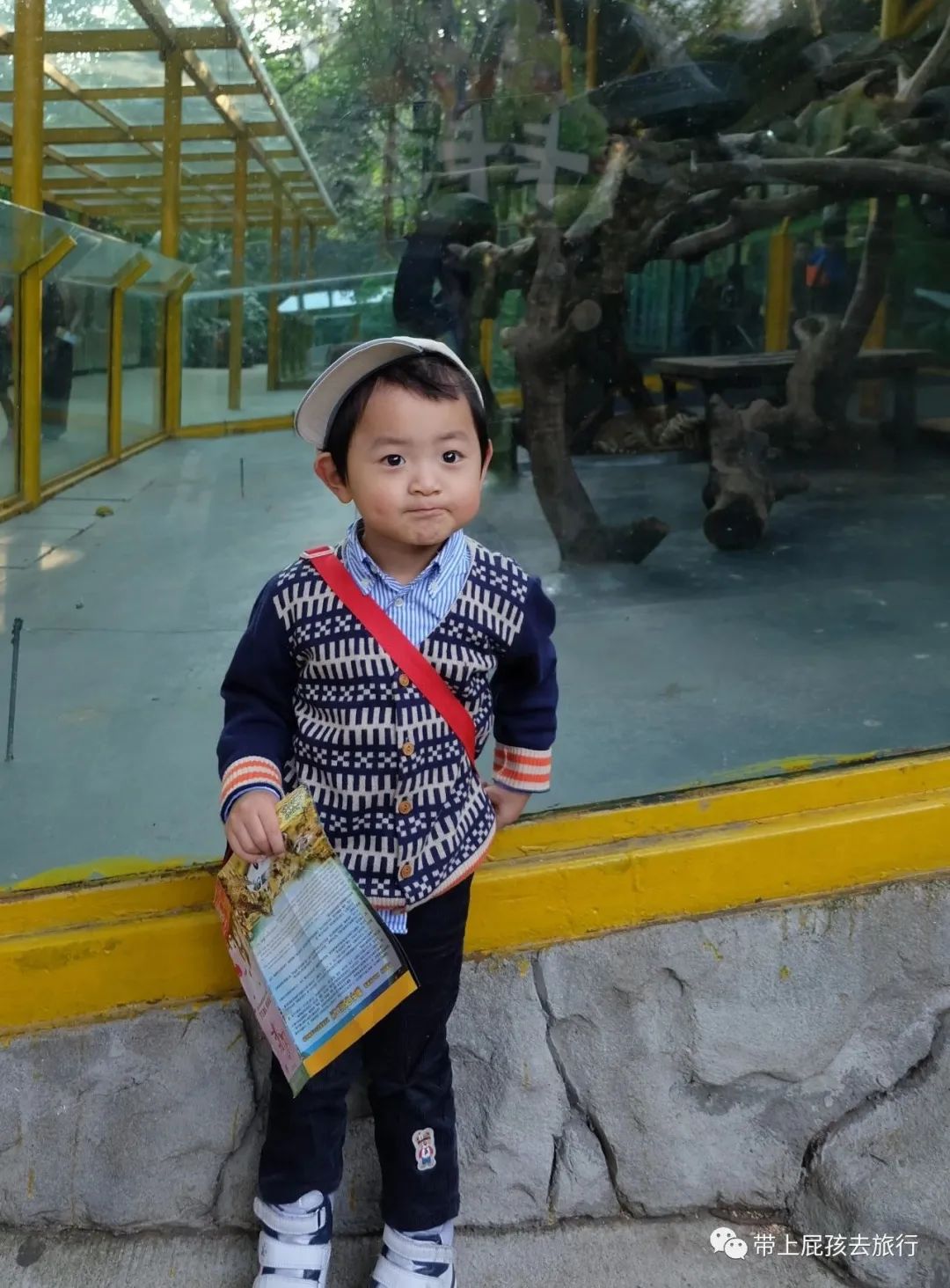 珠海长隆带小孩住哪个酒店比较好,长隆各个酒店区别