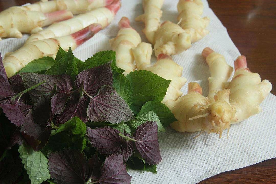 杏林宝鉴|吃大闸蟹后竟发作这个病？这种体质不宜多吃