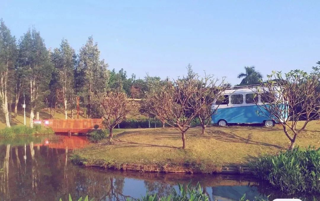 东莞周末带小孩哪里有好玩的地方,东莞又有什么好玩的