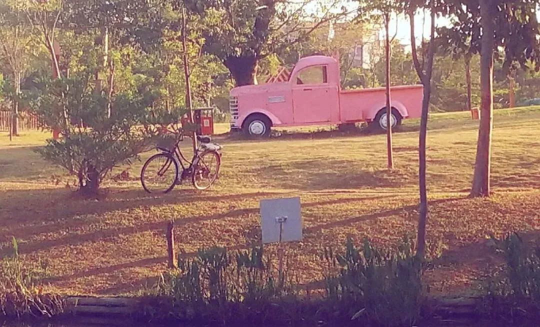 东莞周末带小孩哪里有好玩的地方,东莞又有什么好玩的