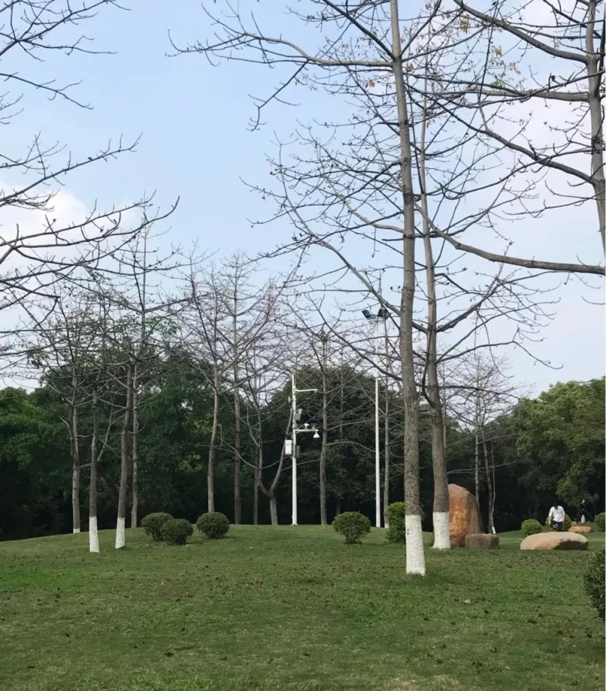 东莞周末带小孩哪里有好玩的地方,东莞又有什么好玩的