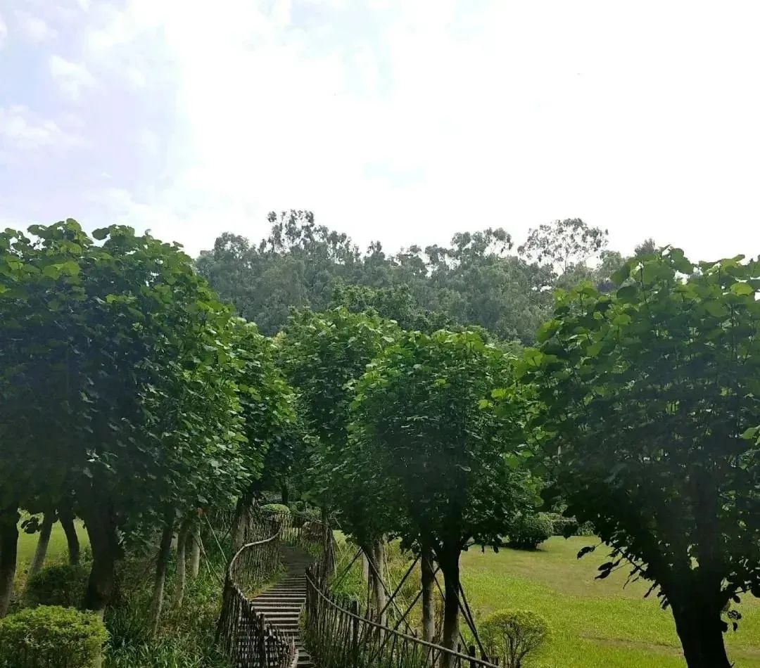 东莞周末带小孩哪里有好玩的地方,东莞又有什么好玩的