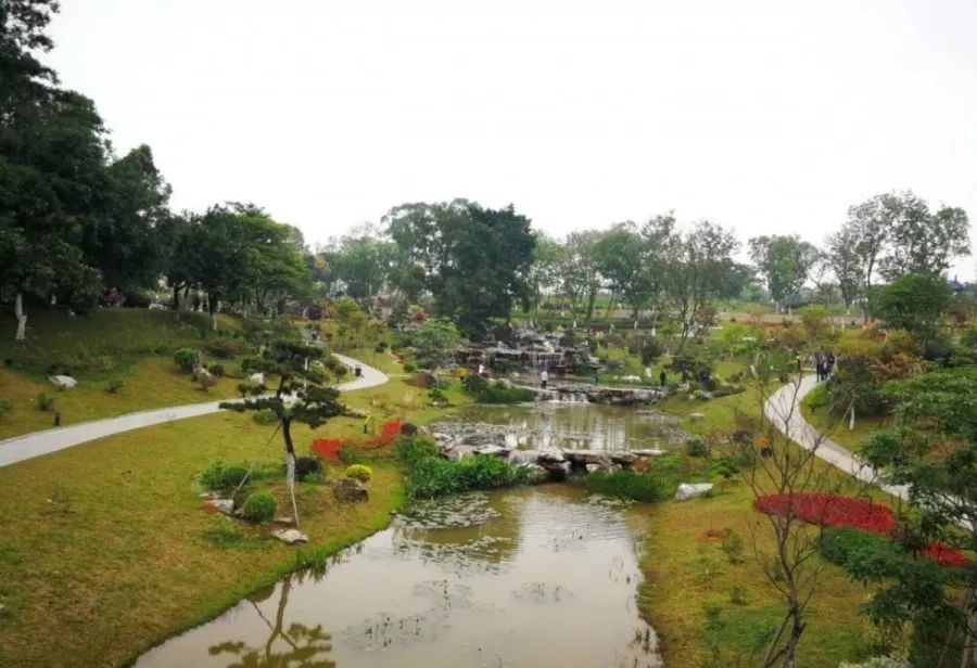 东莞周末带小孩哪里有好玩的地方,东莞又有什么好玩的