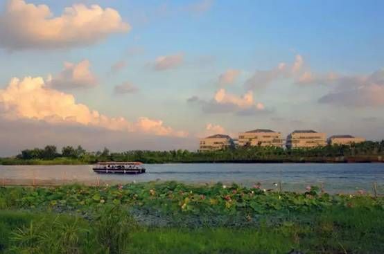 东莞周末带小孩哪里有好玩的地方,东莞又有什么好玩的