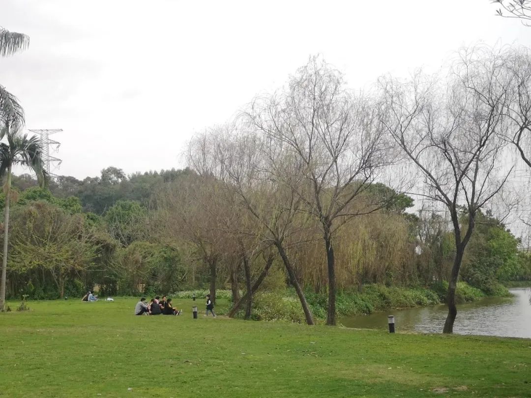 东莞周末带小孩哪里有好玩的地方,东莞又有什么好玩的