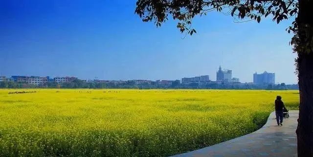 东莞周末带小孩哪里有好玩的地方,东莞又有什么好玩的