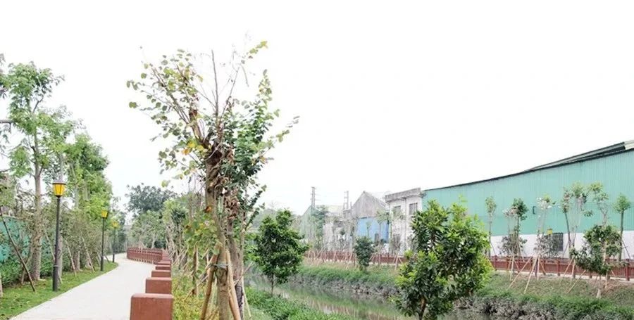 东莞周末带小孩哪里有好玩的地方,东莞又有什么好玩的