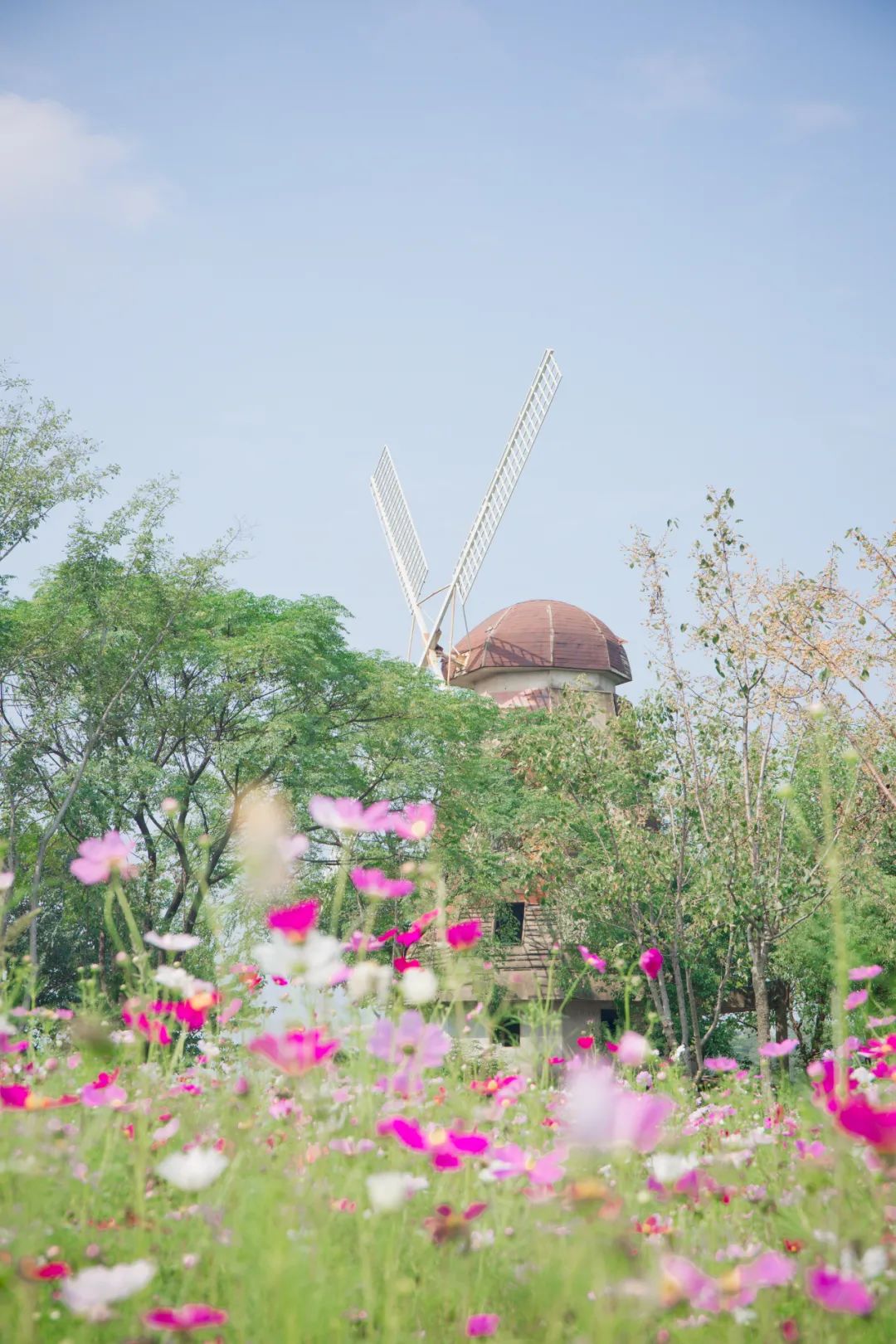 去东湖看花,去东湖看风景