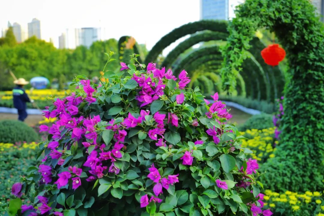 去东湖看花,去东湖看风景