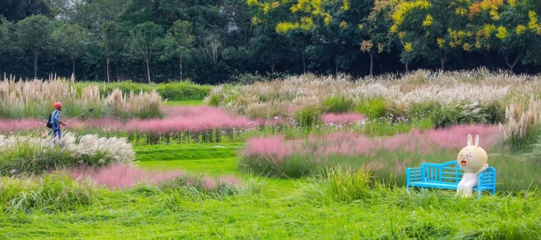 无锡热门旅游城市线路,无锡景点最佳旅游路线推荐
