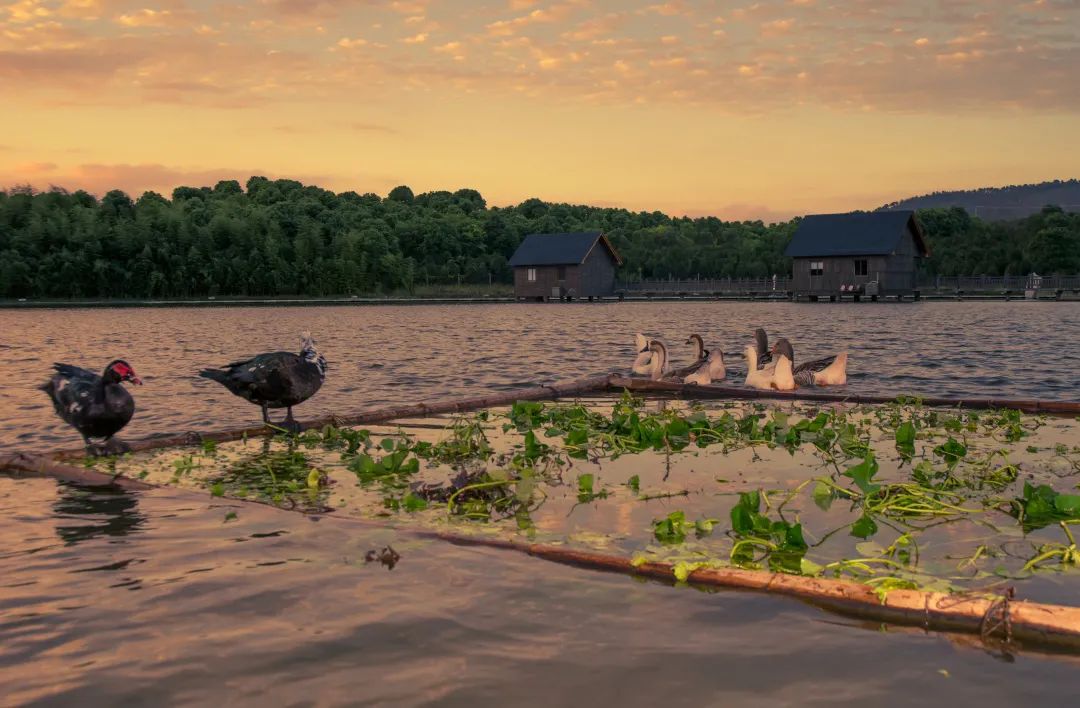 无锡热门旅游城市线路,无锡景点最佳旅游路线推荐