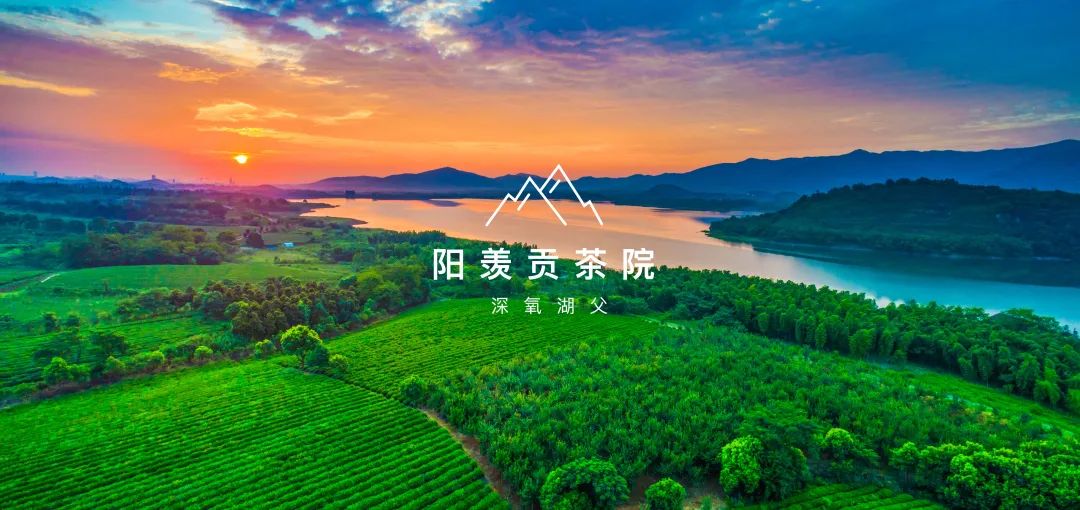 无锡热门旅游城市线路,无锡景点最佳旅游路线推荐