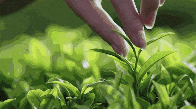 无锡热门旅游城市线路,无锡景点最佳旅游路线推荐