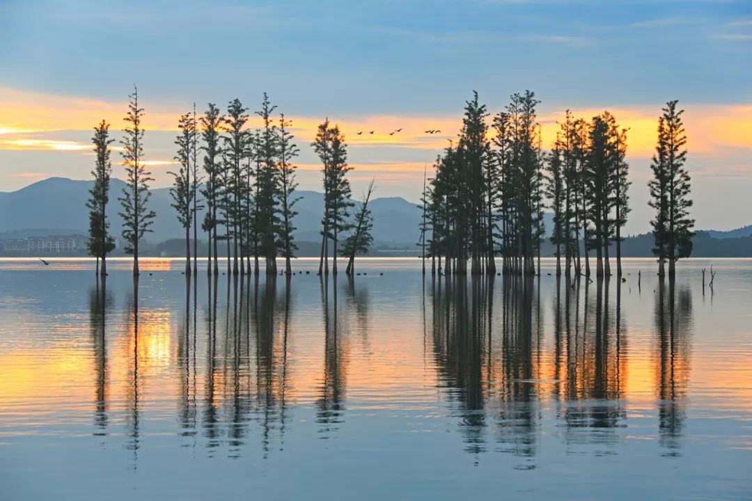 无锡热门旅游城市线路,无锡景点最佳旅游路线推荐