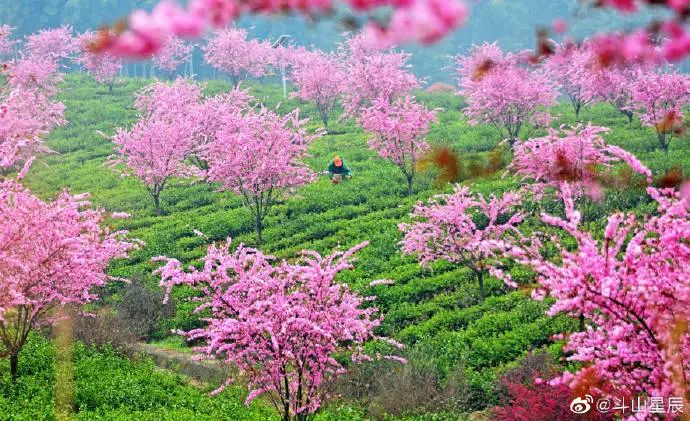 无锡热门旅游城市线路,无锡景点最佳旅游路线推荐
