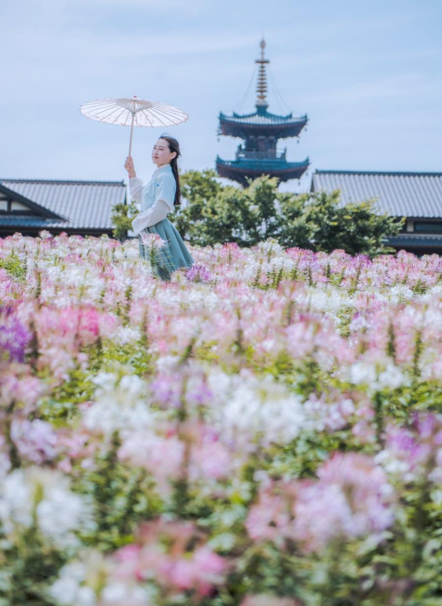 无锡热门旅游城市线路,无锡景点最佳旅游路线推荐