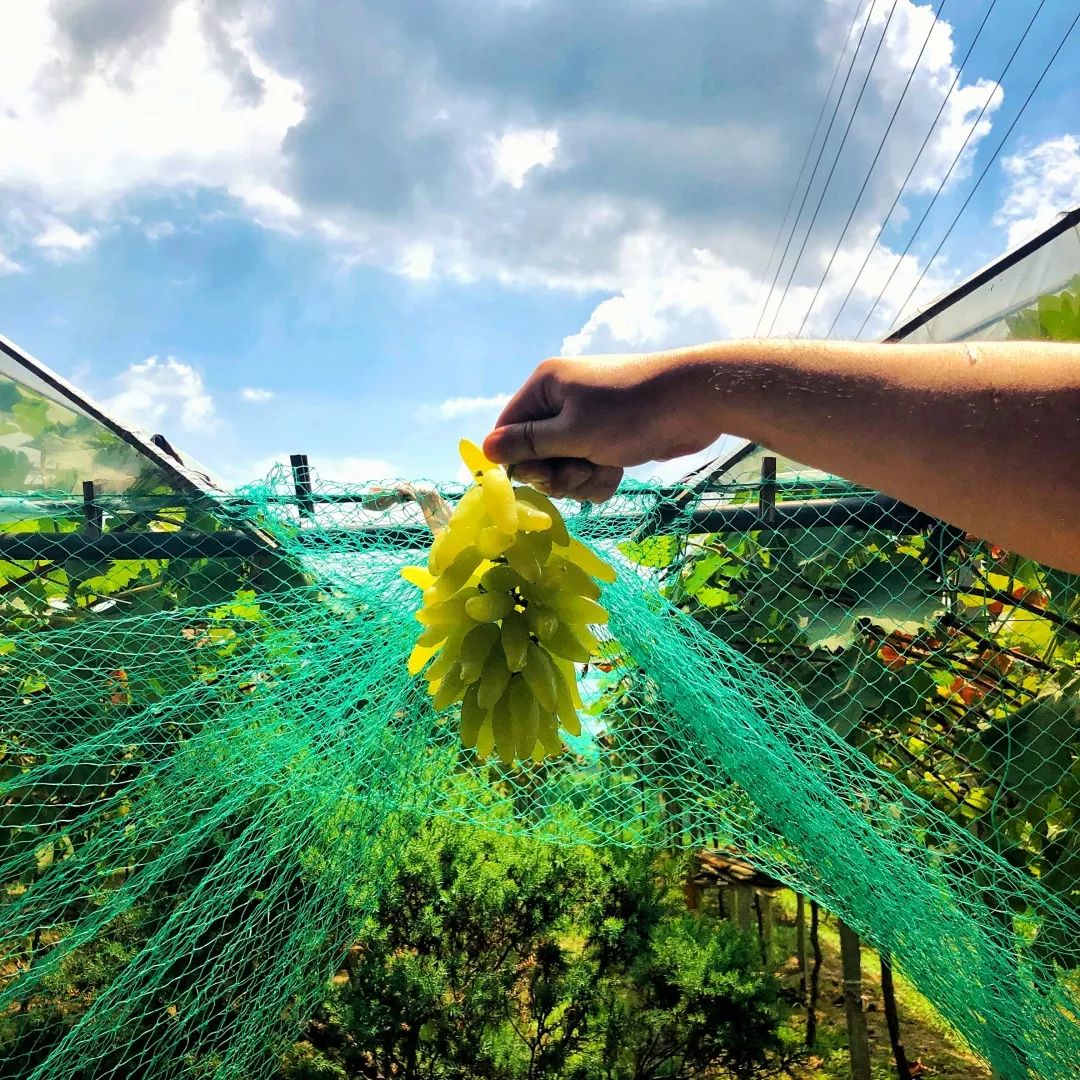 无锡热门旅游城市线路,无锡景点最佳旅游路线推荐