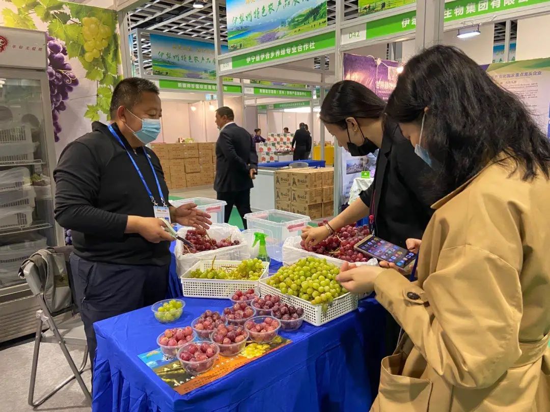 伊宁市特点馕包肉,伊犁最好吃的烤馕