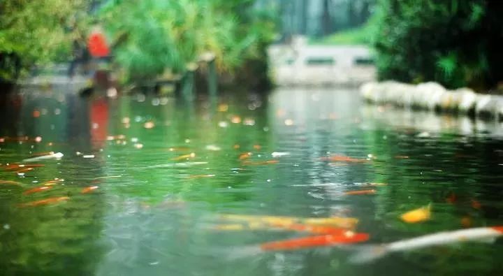 成都100种美景图片,航拍中国成都十大风景区