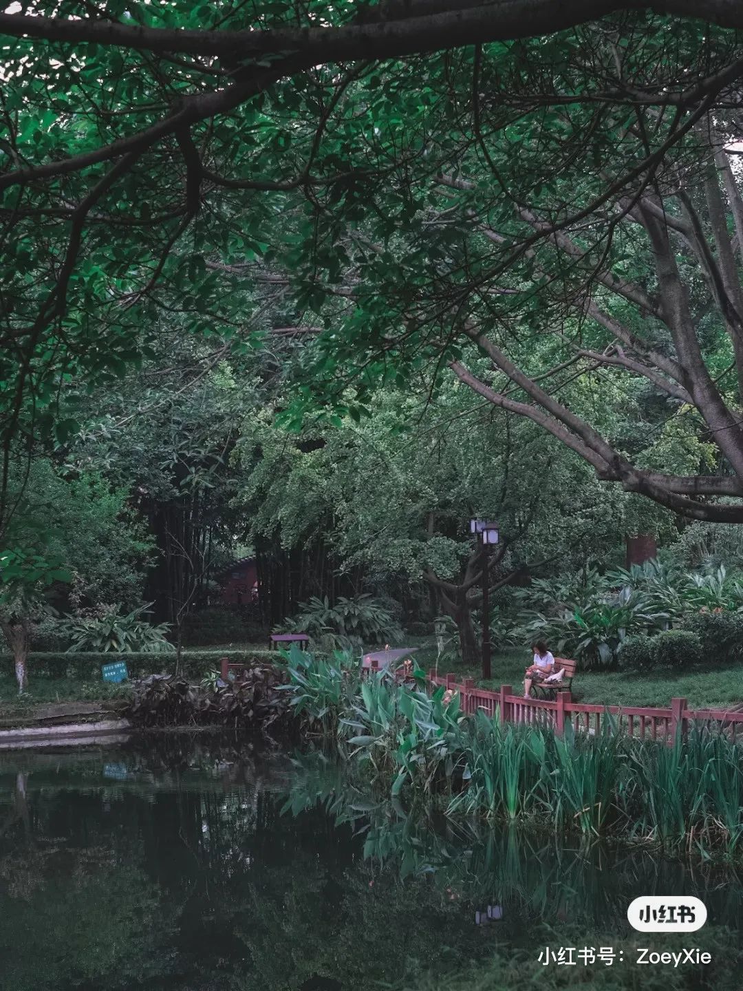 成都100种美景图片,航拍中国成都十大风景区