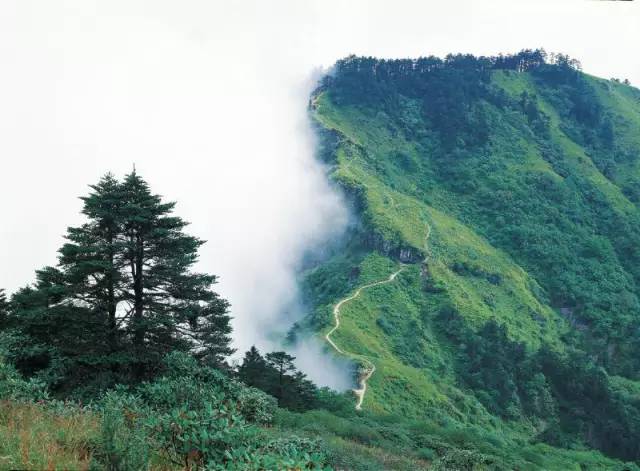 成都100种美景图片,航拍中国成都十大风景区
