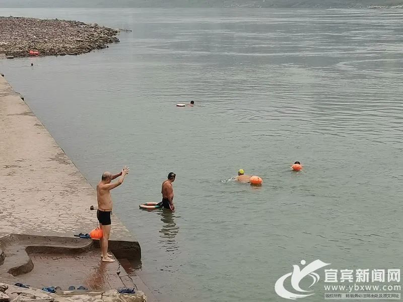 我们的节日重阳节活动,我们的节日重阳节主题