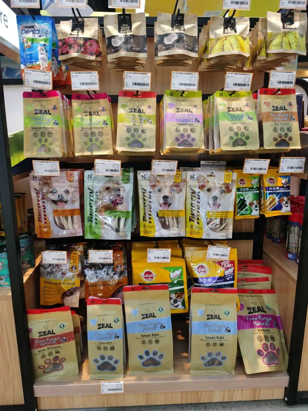 南京广电第六届萌宠节,南京广电萌宠节