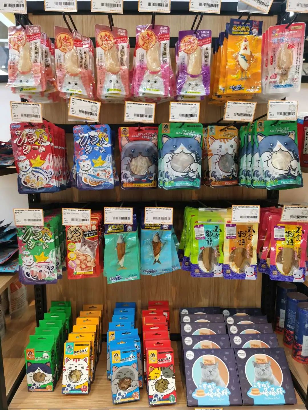 南京广电第六届萌宠节,南京广电萌宠节