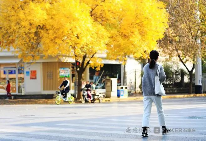 白蜡树下人如潮，勿忘城中多妖娆！你身边还有这些网红打卡地→