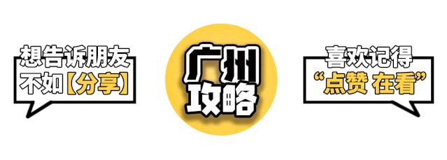 忘掉朋友圈的凡尔赛，来广州狮子猫网红酒吧，开启你的微醺时刻