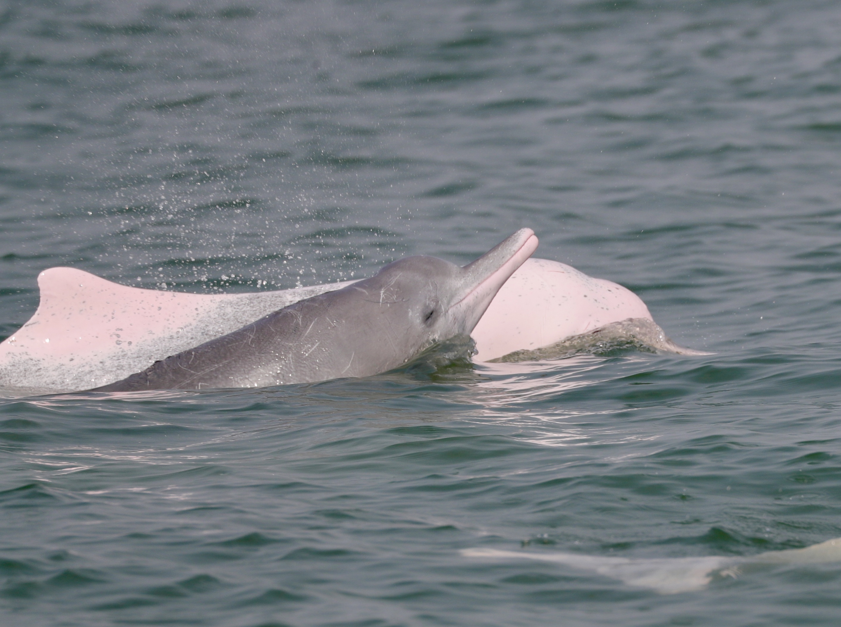 三娘湾景区11月起免费开放，你安排好行程了吗？