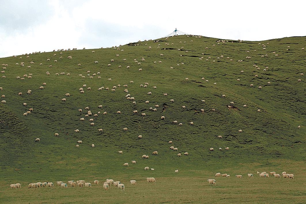 闂佃姊呴檱,姊呴檱涔嬪彉