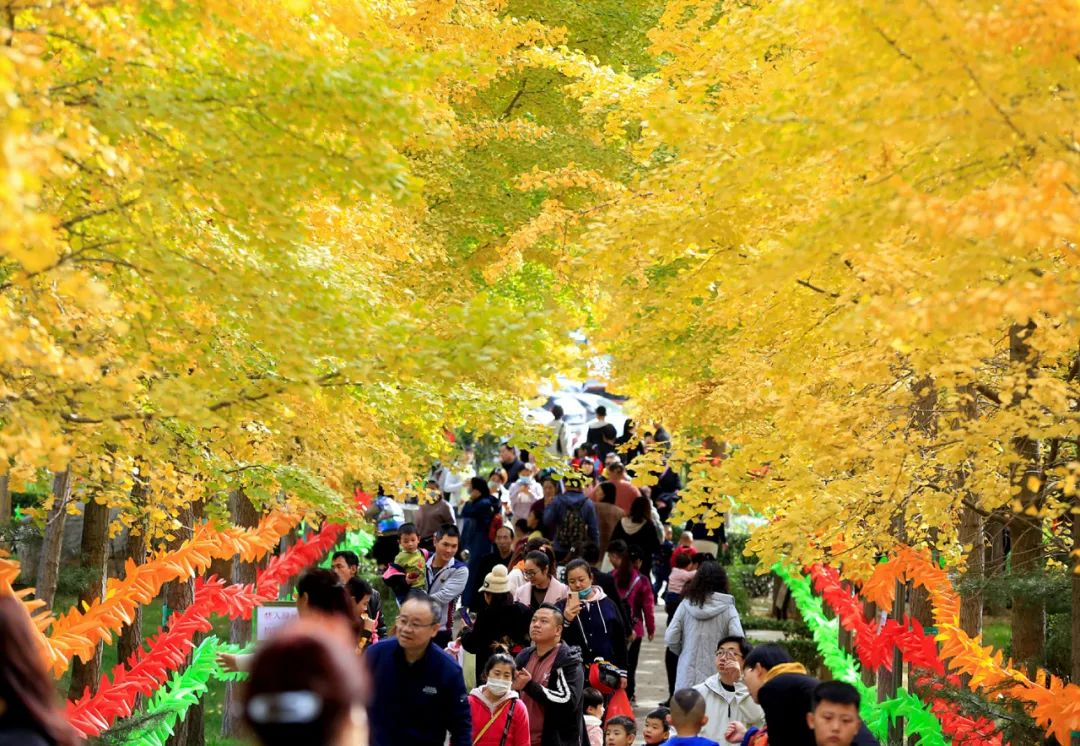 白蜡树下人如潮，勿忘城中多妖娆！你身边还有这些网红打卡地→