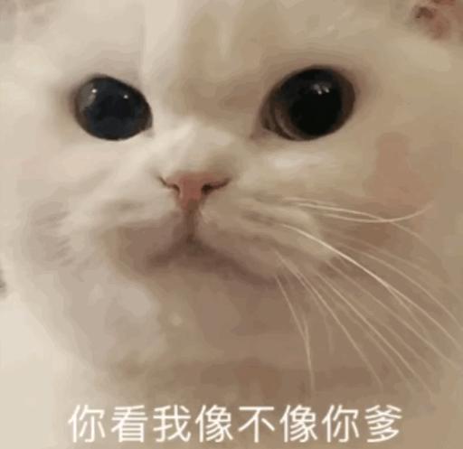 甜妹不如御姐斩男？颜值差不多，为何只有她撩汉总爆好感？