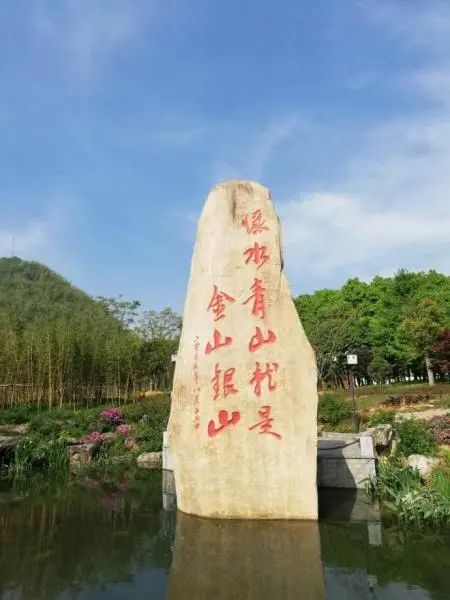 浙大金融培训心得,浙大互联网培训项目