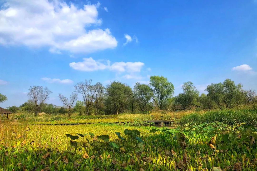 浙大金融培训心得,浙大互联网培训项目