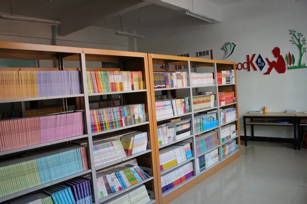 青年之家揭牌凝聚青春力量,凝聚青春力量服务乡村振兴