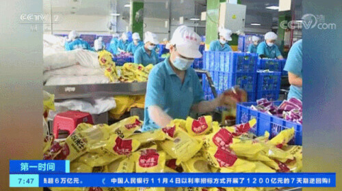 闻臭师年薪多少万,央视闻臭师年薪50万视频