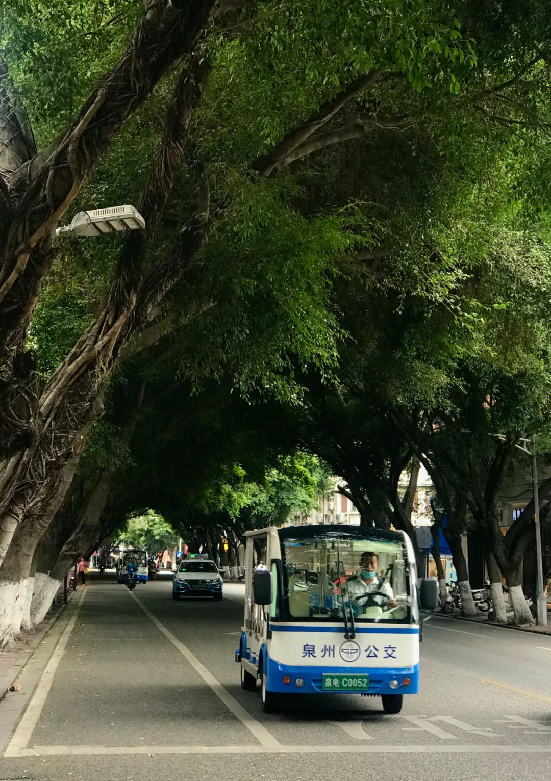 千米老街竟有16处宋元遗迹，上百条古巷飘香，这宝藏小城也太低调了「459集」