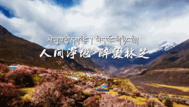 “双十一”提前了！本周末，东莞这里有文旅体大集会！