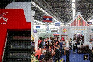主题国|细数东博会上的老挝特点商品
