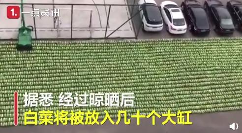 宇宙的尽头美食,宇宙的尽头是美食