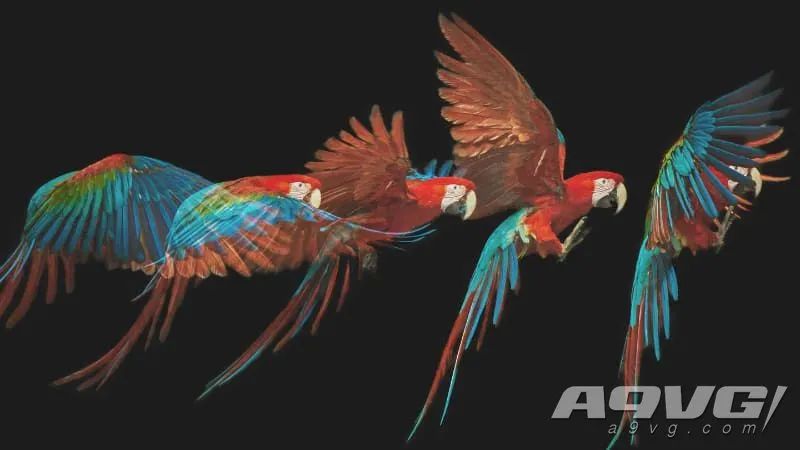 ps54k和电视配置有没有关系,ps5怎么看电视支持120帧