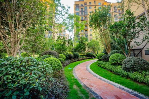 长沙7字头人气红盘最后一栋毛坯入市