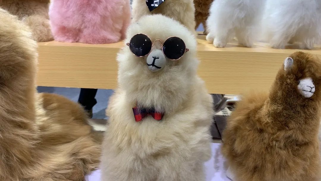 跑完步回来一路美食,义马好吃的好玩的