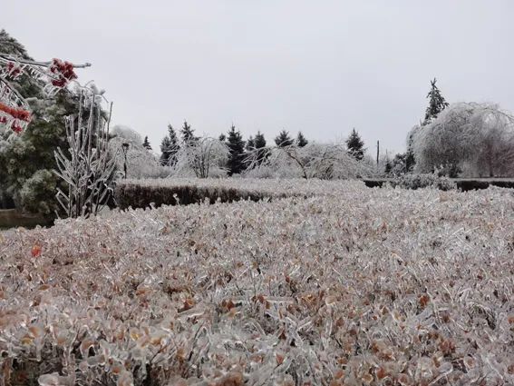 延边开启滑雪季快来嗨翻冬天,雪雪来了