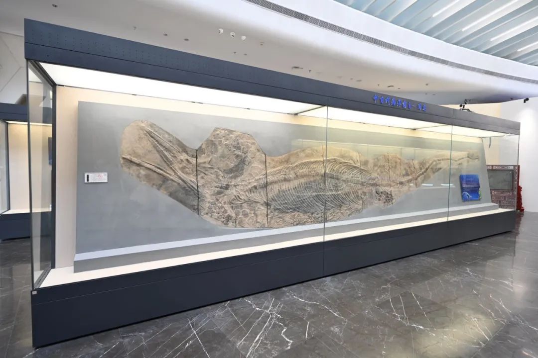 2021海昏侯遗址公园攻略,海昏侯遗址公园游玩