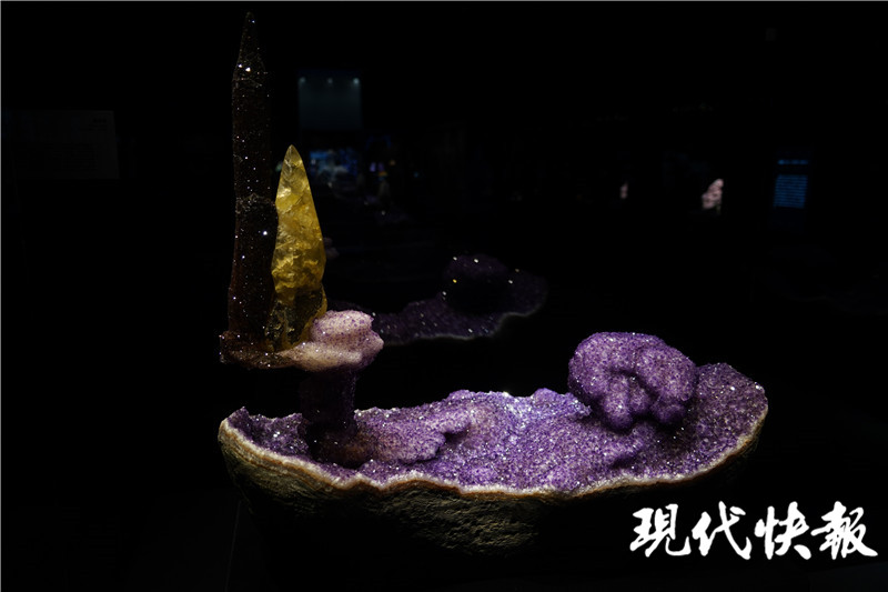 金枝玉叶文创产品南博,南博玉展