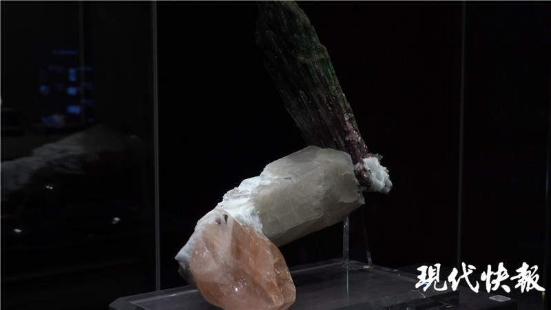 金枝玉叶文创产品南博,南博玉展