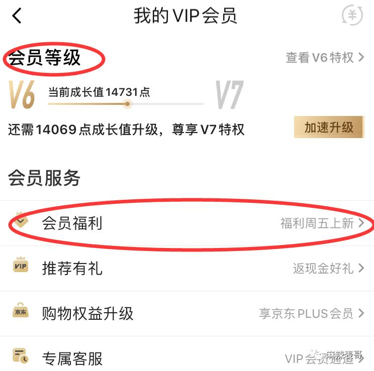 蒙奇奇事件,蒙淇淇翻车